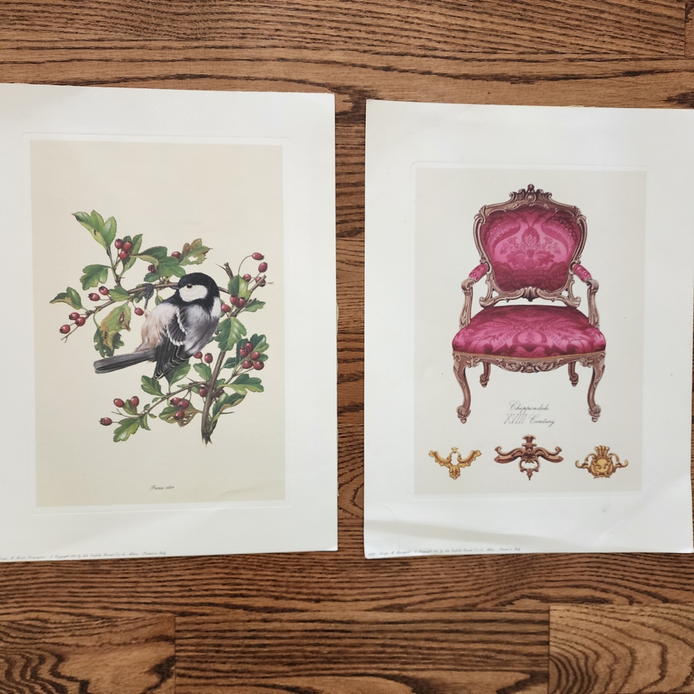 Vintage Art Prints Set Print In Italy M. Romagnoli 11.5 X 15"